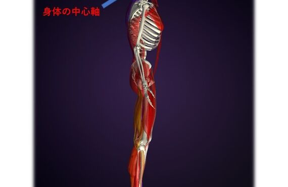 デスクワークによる慢性的な肩こり、背中の張り、腰痛