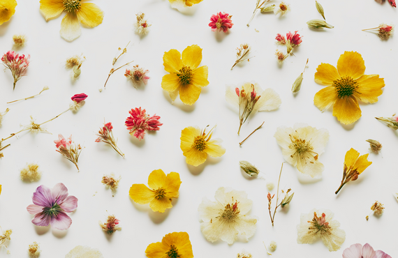 福岡市中央区の隠れ家的マッサージ店！Beyond Wellness